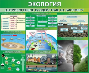 Стенд "Экология. Антропогенное воздействие на биосферу" - fgospostavki.ru - Александров