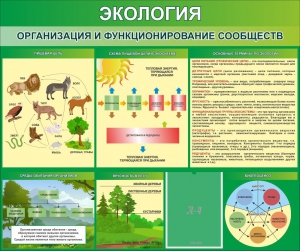 Стенд "Экология. Организация и функционирование сообществ" - fgospostavki.ru - Александров