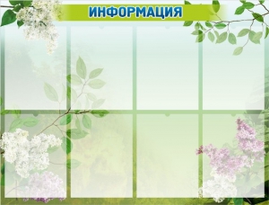 Стенд "Информация" Вариант 13 - fgospostavki.ru - Александров