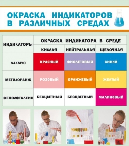 Стенд "Окраска индикаторов в различных средах" - fgospostavki.ru - Александров