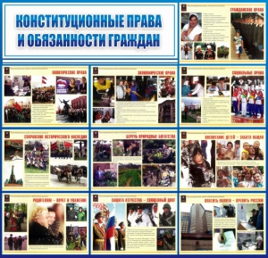 Стенд "Конституционные права и обязанности граждан" - fgospostavki.ru - Александров