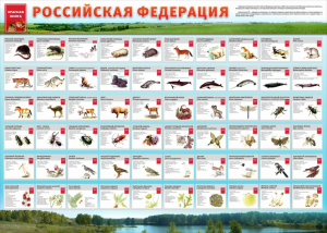 Стенд "Красная книга РФ" - fgospostavki.ru - Александров