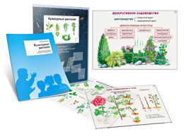 Комплект кодотранспарантов "Культурные растения" - fgospostavki.ru - Александров