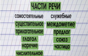 Набор магнитных карточек "Части речи" (фон зелёный) - fgospostavki.ru - Александров