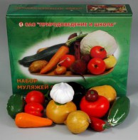 Набор муляжей овощей (большой из 13 штук) - fgospostavki.ru - Александров