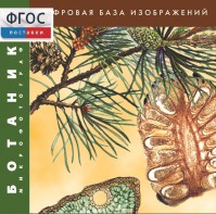 Ботаника. Микрофотографии. (Цифровая база изображений) - fgospostavki.ru - Александров
