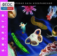Биология. Микрофотографии. (Цифровая база изображений) - fgospostavki.ru - Александров