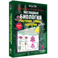Наглядная биология. 6 класс. Растения. Грибы. Бактерии - fgospostavki.ru - Александров