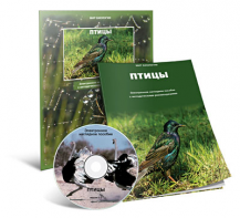 Электронное наглядное пособие «Птицы» - fgospostavki.ru - Александров