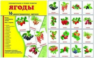Демонстрационные карточки "Ягоды" - fgospostavki.ru - Александров
