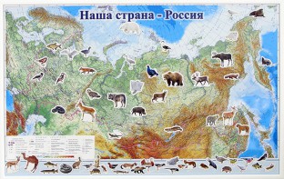 Магнитные карточки "Животные" - fgospostavki.ru - Александров