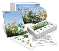 Комбинированное наглядное пособие «Растения» - fgospostavki.ru - Александров