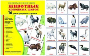 Демонстрационные карточки "Животные холодных широт" - fgospostavki.ru - Александров