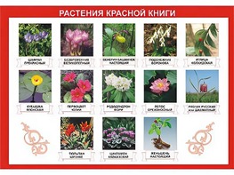 Таблица демонстрационная "Растения Красной книги" (винил 70*100) - fgospostavki.ru - Александров