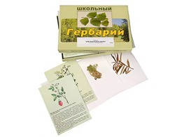 Гербарий "Для начальной школы" (30 видов, с иллюстрациями) - fgospostavki.ru - Александров