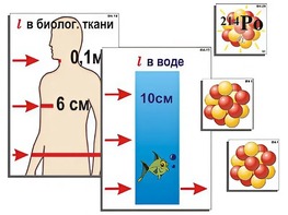 Модель-аппликация "Явление радиоактивности" (ламинированная) - fgospostavki.ru - Александров