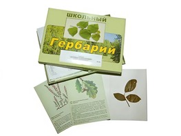 Гербарий "Дикорастущие растения" (30 видов, с иллюстрациями) - fgospostavki.ru - Александров