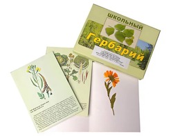 Гербарий "Систематика растений. Семейство Пасленовые. Крестоцветные. Сложноцветные" (раздаточный) - fgospostavki.ru - Александров
