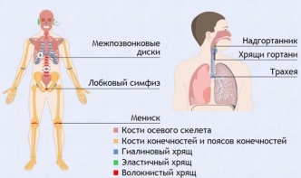Интерактивные курсы. Биология 9 класс. Базовый. - fgospostavki.ru - Александров