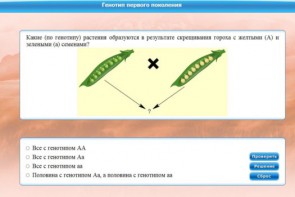 Интерактивные курсы. Биология 11 класс. Базовый. - fgospostavki.ru - Александров