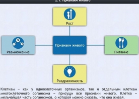 Интерактивные курсы. Биология 5 класс. Базовый - fgospostavki.ru - Александров
