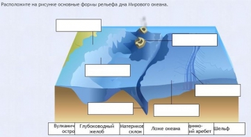 Интерактивные курсы. География 7 класс . Базовый. - fgospostavki.ru - Александров