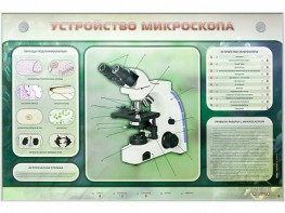 Электрифицированный стенд "Устройство микроскопа и правила работы c ним" - fgospostavki.ru - Александров