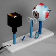 Модель "Зрение" (электрическая) - fgospostavki.ru - Александров