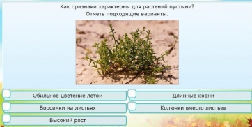 Интерактивные курсы. Окружающий мир 3 класс . Базовый. - fgospostavki.ru - Александров