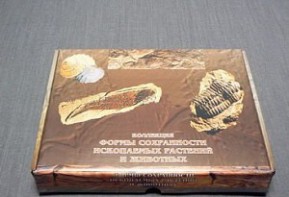 Коллекция "Формы сохранности ископаемых растений и животных" - fgospostavki.ru - Александров