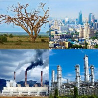 Модель-аппликация Биосфера и человек - fgospostavki.ru - Александров