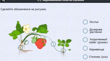 Интерактивные курсы. Биология 7 класс. Расширенный. - fgospostavki.ru - Александров