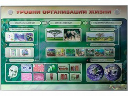 Электрифицированный стенд "Уровни организации жизни" - fgospostavki.ru - Александров
