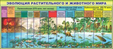 Стенд "Эволюция растительного и животного мира" - fgospostavki.ru - Александров