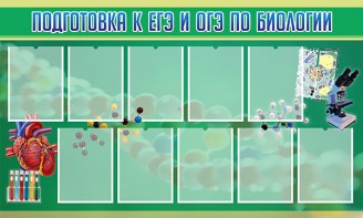 Стенд "Подготовка к ЕГЭ и ОГЭ по биологии" Вариант 2 - fgospostavki.ru - Александров