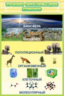 Стенд "Уровни организации живого" - fgospostavki.ru - Александров