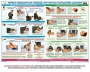 Комплект плакатов "Оказание первой доврачебной медицинской помощи" - fgospostavki.ru - Александров