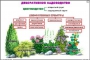 Комплект кодотранспарантов "Культурные растения" - fgospostavki.ru - Александров